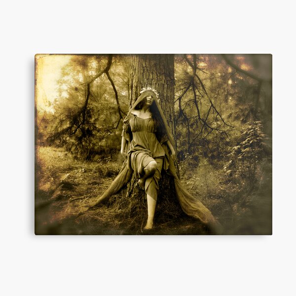Wilderness Metal Print