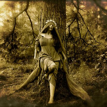 Artwork thumbnail, Wilderness by KatarinaSilva