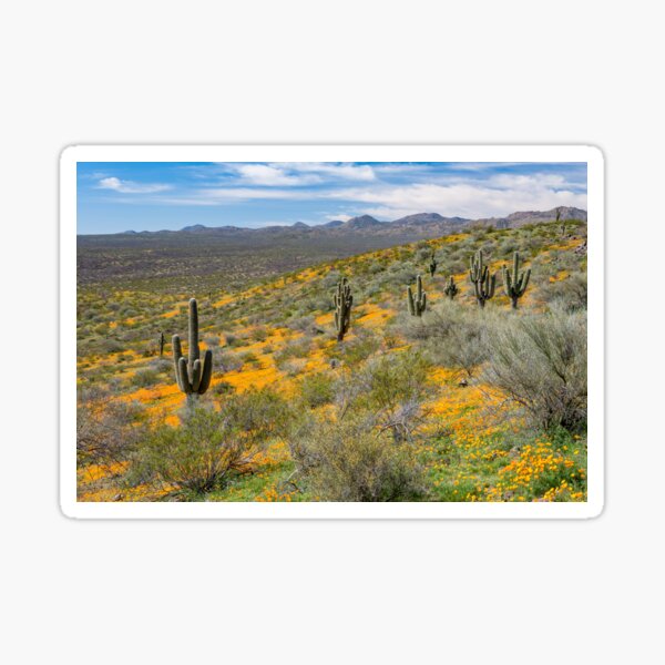 Item preview, Springtime poppies and saguaros designed and sold by Squirrel-Girl.