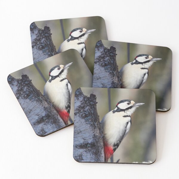 Item preview, Feel the light of spring. Great spotted woodpecker designed and sold by Jouko Lehto Photography.