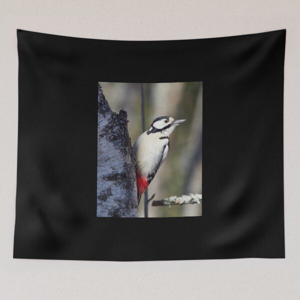 Item preview, Feel the light of spring. Great spotted woodpecker designed and sold by Jouko Lehto Photography.