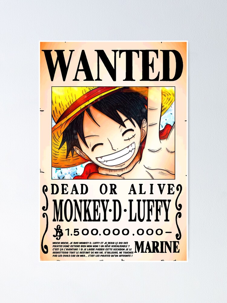 Featured image of post Wanted Poster Blank One Piece / The older ones also contained the dead or alive.
