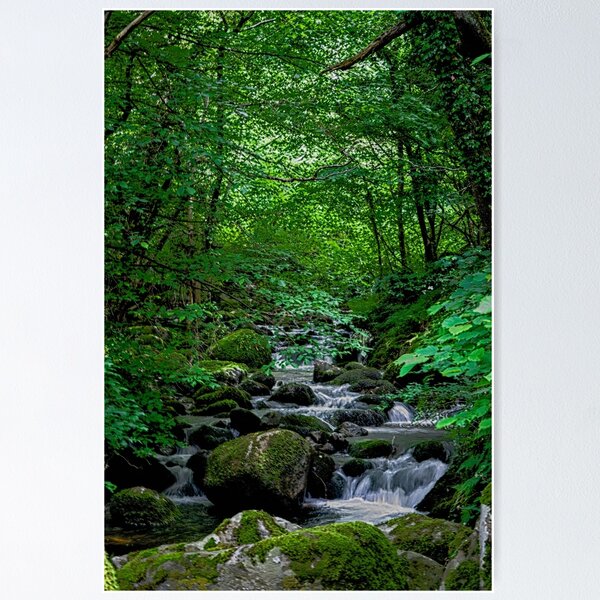 Item preview, Mystic Mountain Stream #2 designed and sold by InterestingImag.
