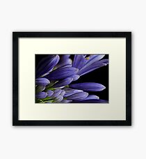 Buds Framed Print