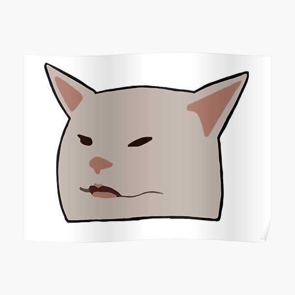 women yelling at cat meme doodle Poster