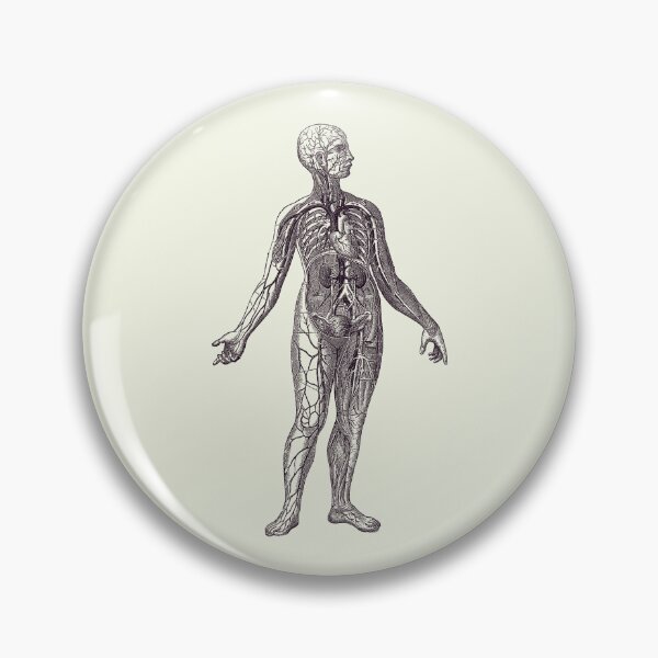 Item preview, Human Vascular System - Vintage Diagram 2 designed and sold by VAposters.