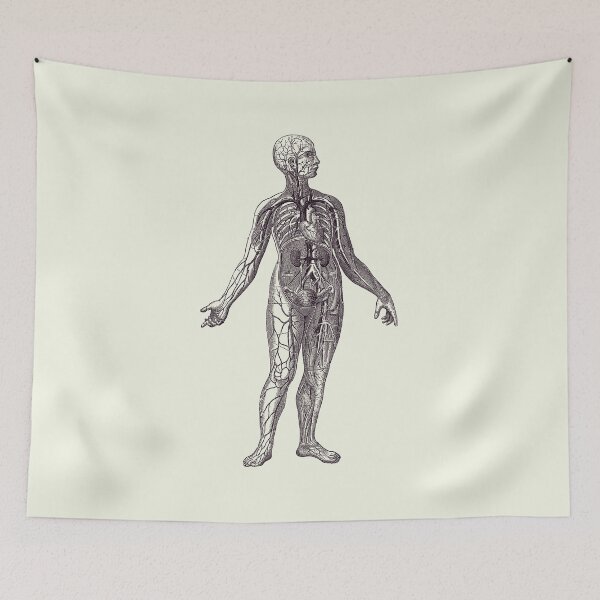 Item preview, Human Vascular System - Vintage Diagram 2 designed and sold by VAposters.