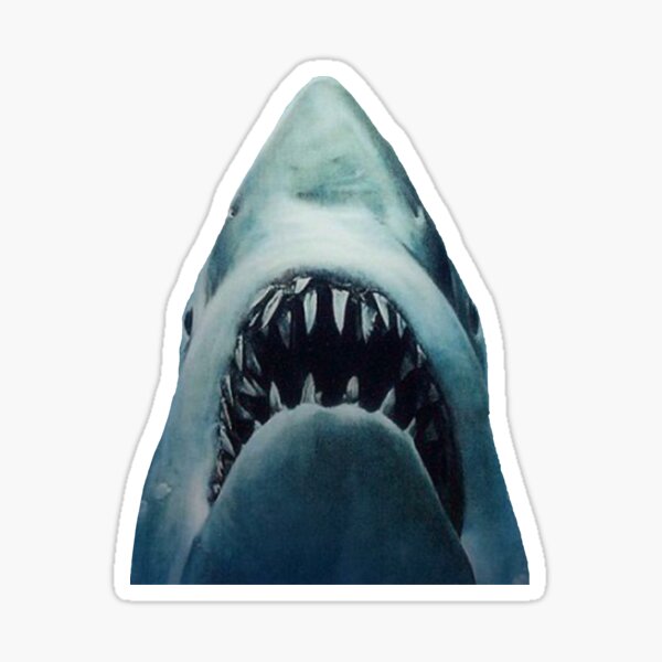 Shark Sticker