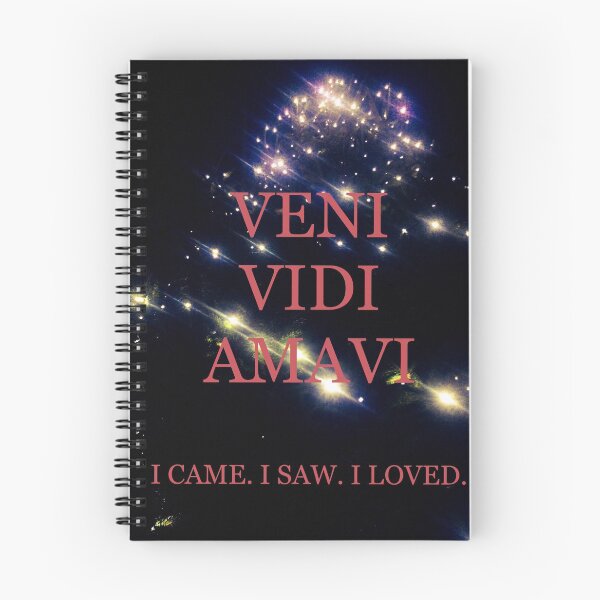 Item preview, Veni Vidi Amavi designed and sold by Jessie Williams.