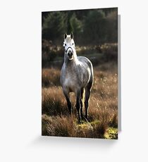 King of the Hill Greeting Card