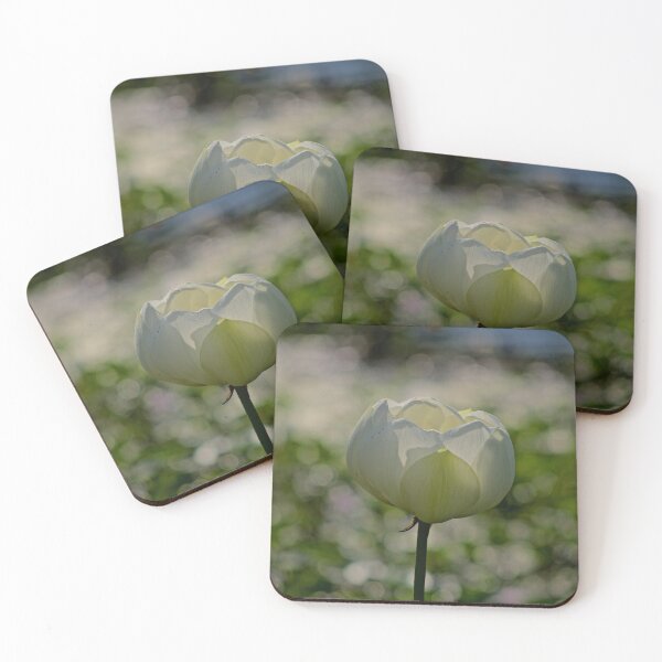 Item preview, TOWARDS BLOSSOM designed and sold by NICK COBURN PHILLIPS.