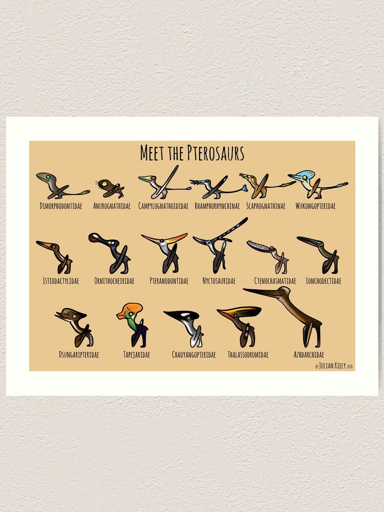 Alternate view of Meet the Pterosaurs Art Print