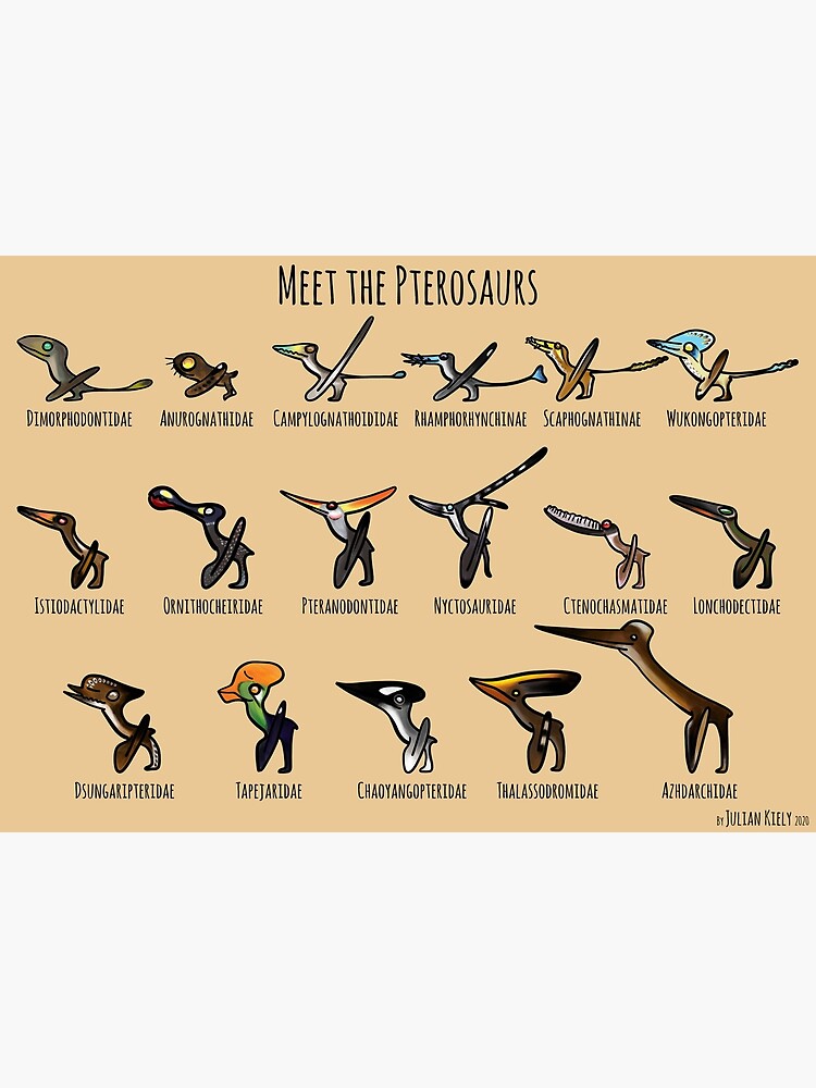 Meet the Pterosaurs by JulianPalaeoART