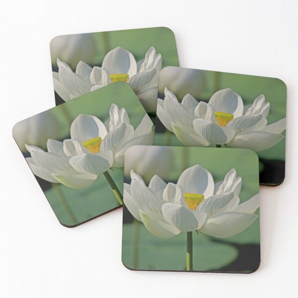 Item preview, LOTUS OF THE ORIENT designed and sold by NICK COBURN PHILLIPS.