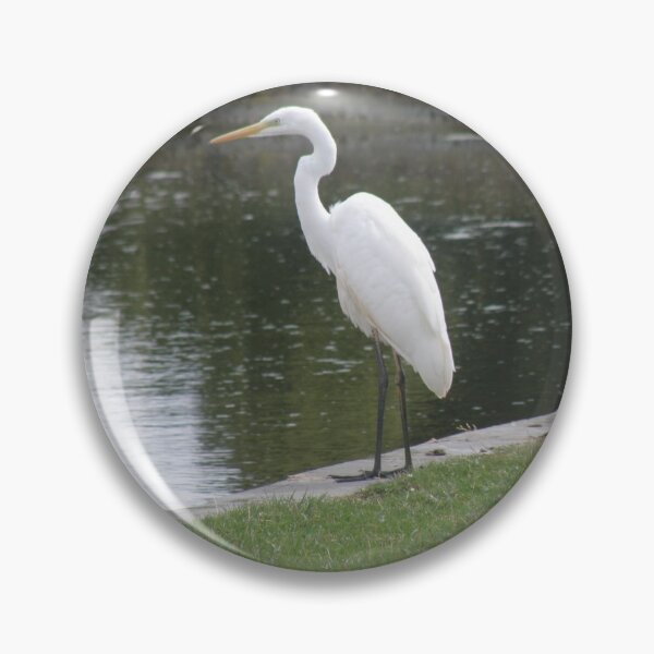 Item preview, Great White Egret by the Lake Photograph designed and sold by naturegallery.