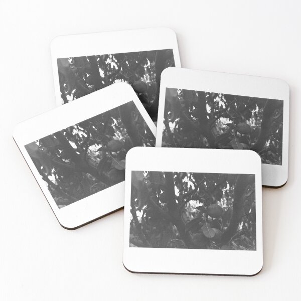 Item preview, Peach on Film designed and sold by tsaidon.
