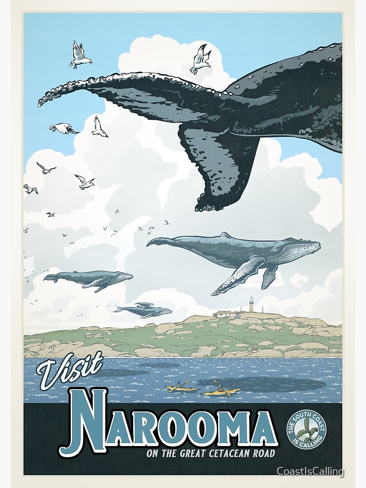 Disover Narooma Premium Matte Vertical Poster