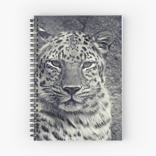 Aperçu de l'œuvre Majestic Amur Leopard créée et vendue par fsmithstudios.
