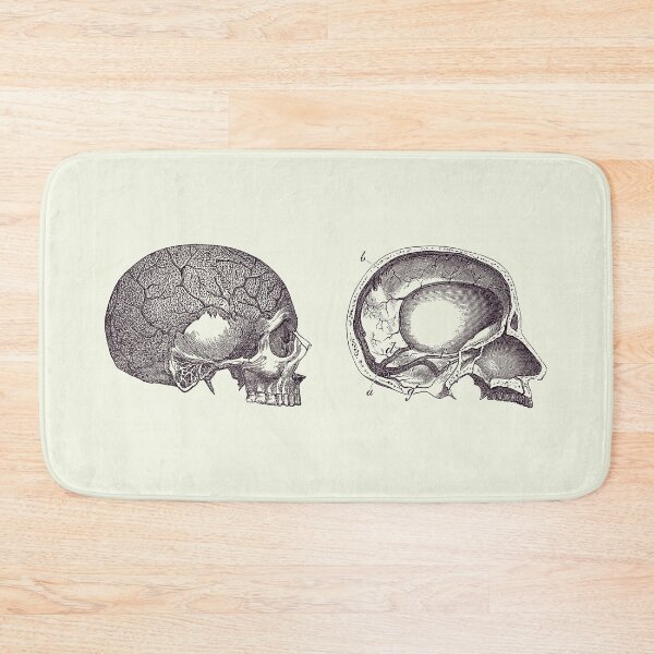 Item preview, Human Skull - Classic Anatomy Print 2 designed and sold by VAposters.