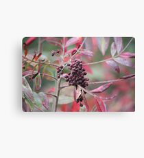 Shining Sumac Canvas Print