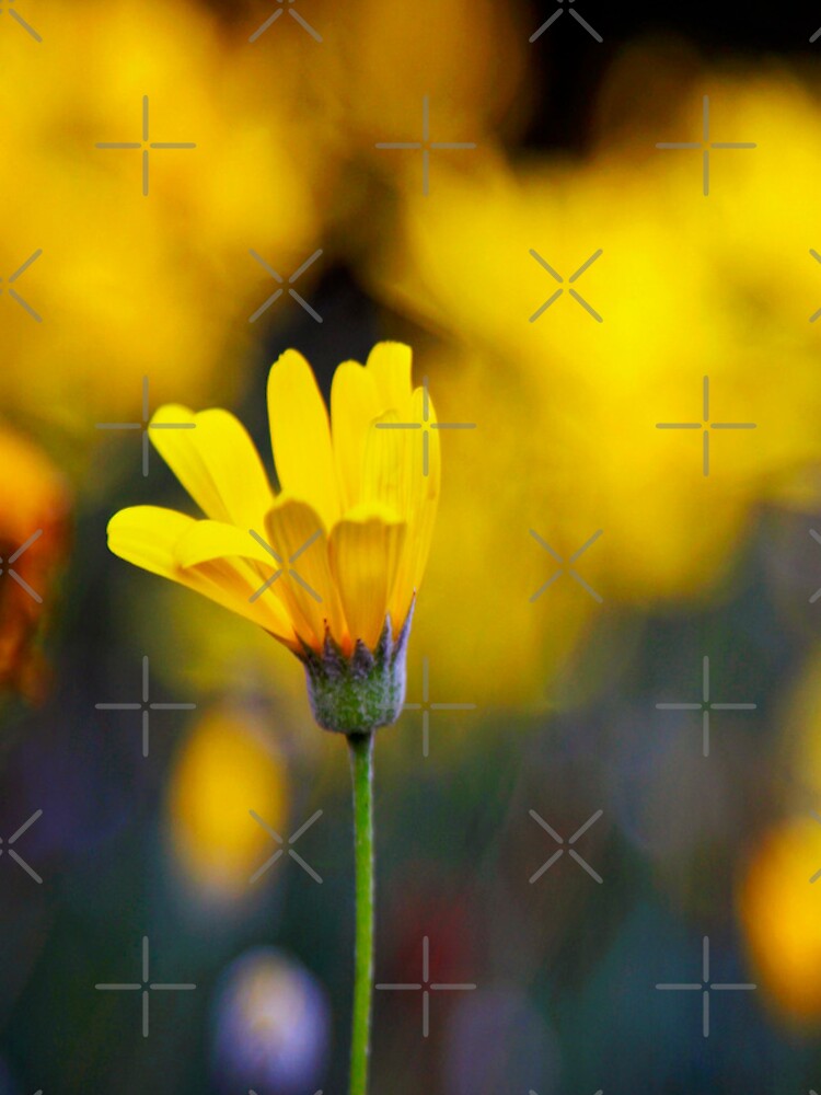 Thumbnail 5 of 5, iPhone Case, Spring! designed and sold by werxj.