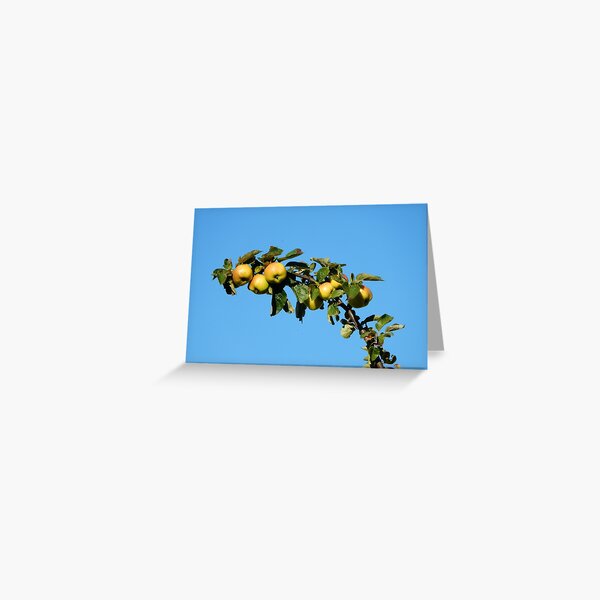 Apples - autumnal yellow Greeting Card