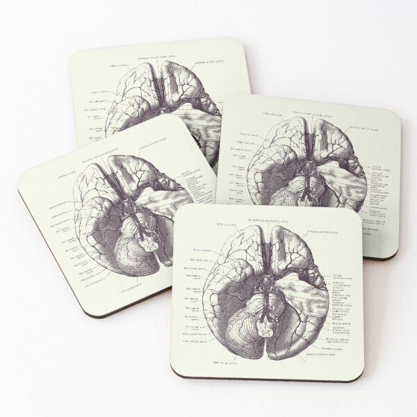 Item preview, Human Brain Diagram - Anatomy Poster 2 designed and sold by VAposters.