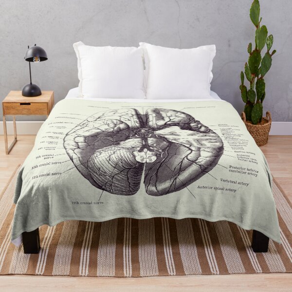 Item preview, Human Brain Diagram - Anatomy Poster 2 designed and sold by VAposters.