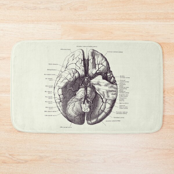 Item preview, Human Brain Diagram - Anatomy Poster 2 designed and sold by VAposters.