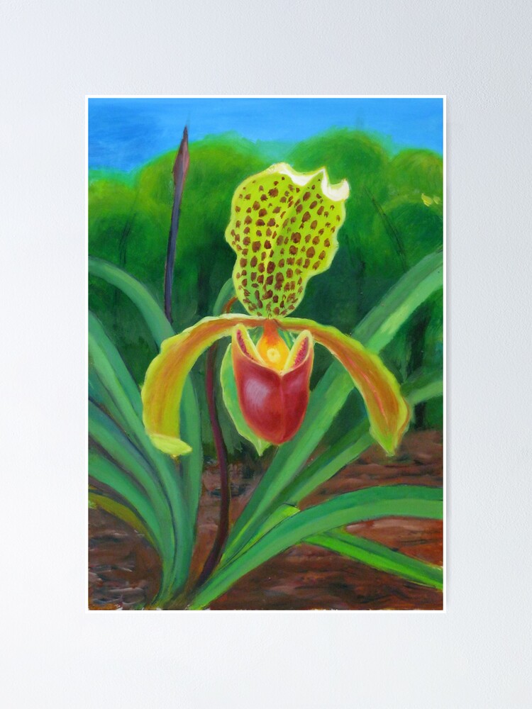 Thumbnail 1 of 3, Poster, SLIPPER ORCHID designed and sold by HAYM.