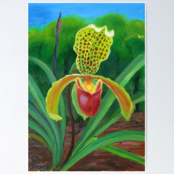 Item preview, SLIPPER ORCHID designed and sold by HAMISH CUMING.