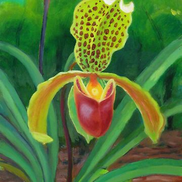 Artwork thumbnail, SLIPPER ORCHID by HAMISH CUMING