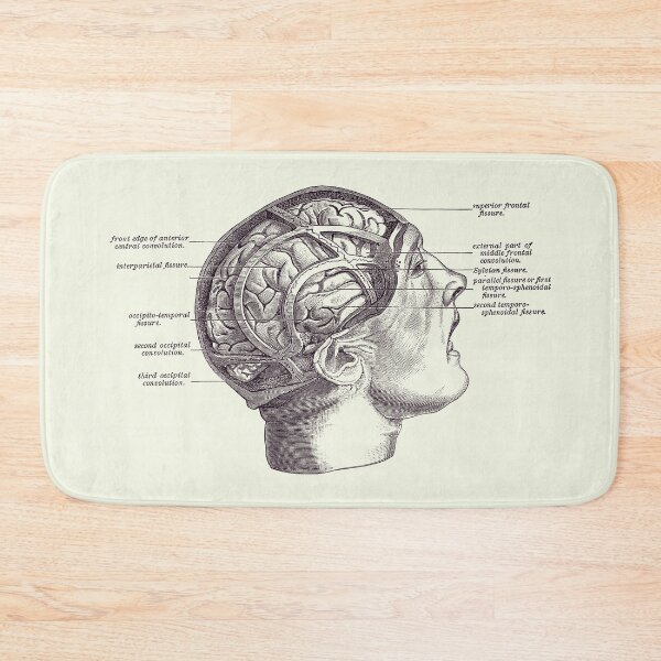 Item preview, Fissure Focused Brain Diagram - Vintage Anatomy 2 designed and sold by VAposters.