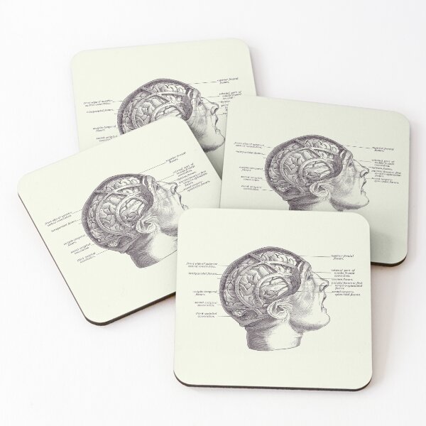 Item preview, Fissure Focused Brain Diagram - Vintage Anatomy 2 designed and sold by VAposters.