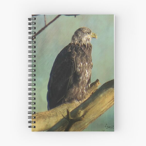 Item preview, Elegant Eagle designed and sold by fsmithstudios.