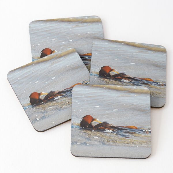 Item preview, Seaweed shining in the Sunshine at Lyme Regis  designed and sold by lynn carter.