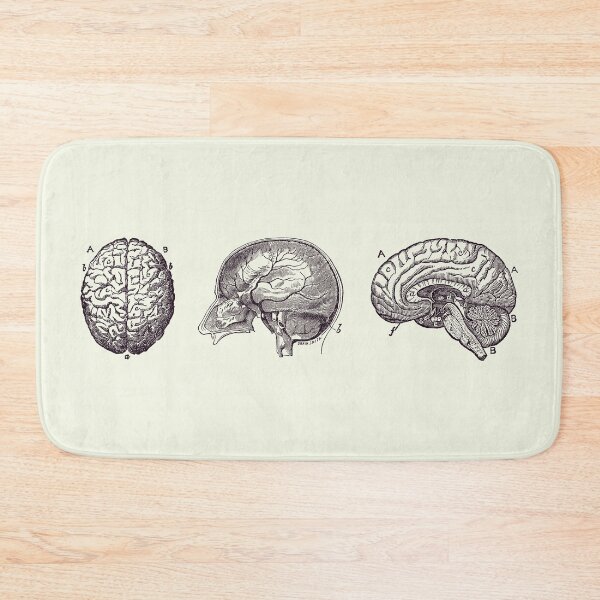 Item preview, Brain Diagram - Three Views - Vintage Anatomy Print 2 designed and sold by VAposters.