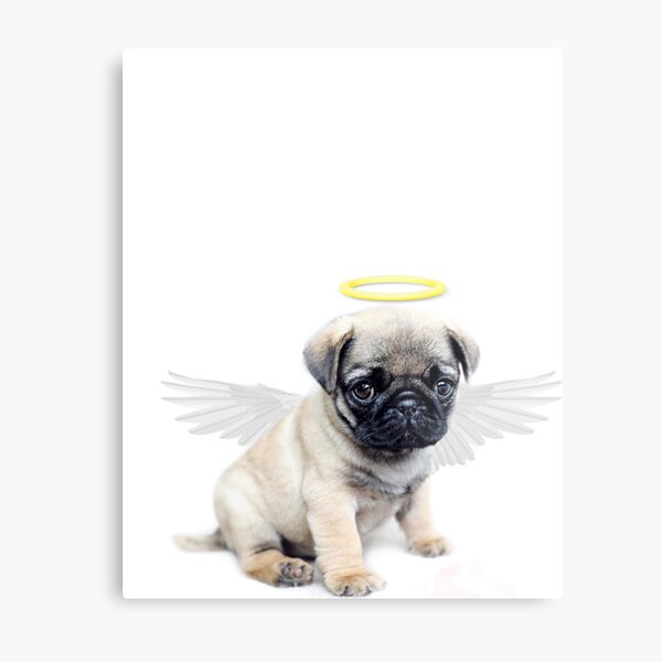 Pug Angel Wall Art Redbubble