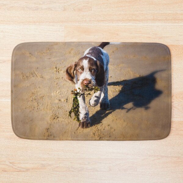Item preview, Seaweed Puppy Spinone  designed and sold by FOLK ART FUSION by heidiannemorris.