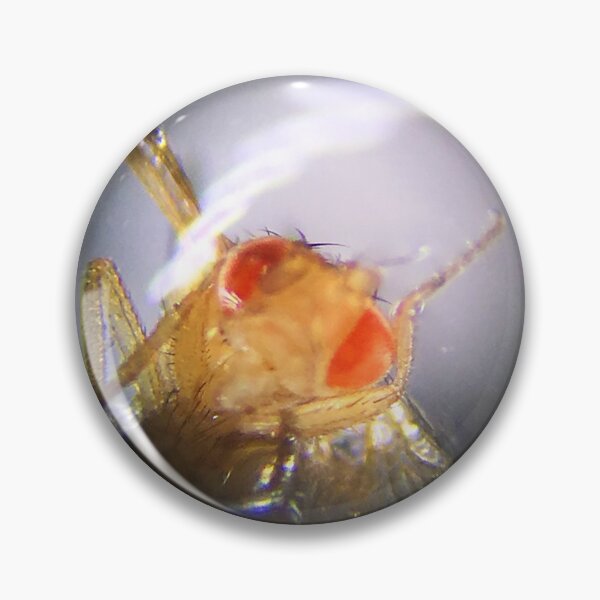 Item preview, Fruit Fly (Ronald) designed and sold by Squid-ink-art.