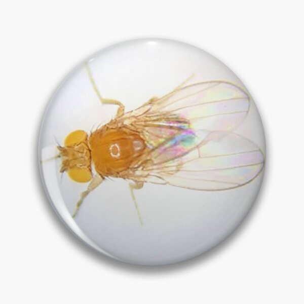 Item preview, Fruit Fly (Robbie) designed and sold by Squid-ink-art.
