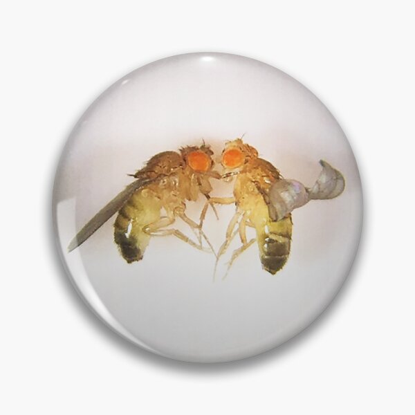 Item preview, Fruit Fly Buddies designed and sold by Squid-ink-art.