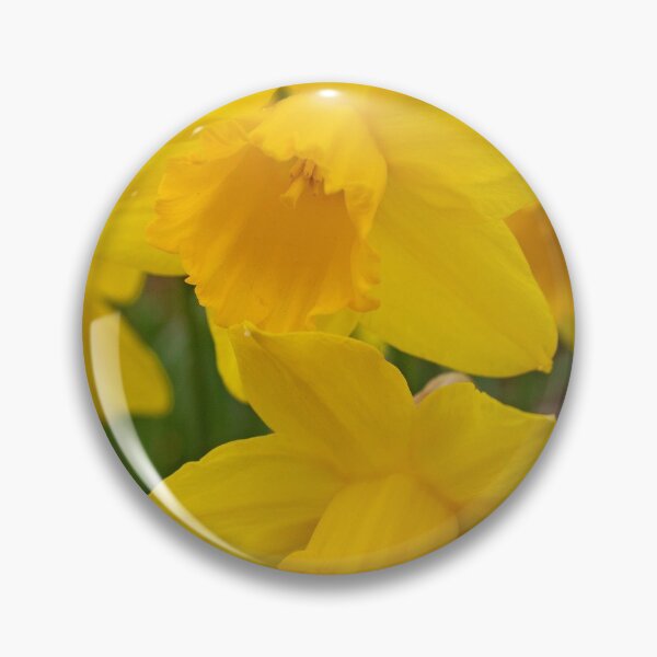 Item preview, Daffodils designed and sold by ellenmpics.