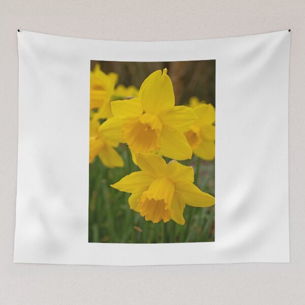 Item preview, Daffodils designed and sold by ellenmpics.