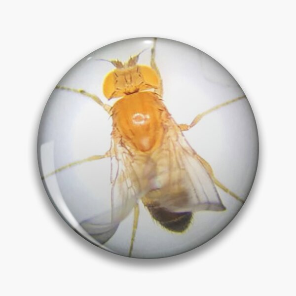 Item preview, Fruit Fly (Gibby) designed and sold by Squid-ink-art.