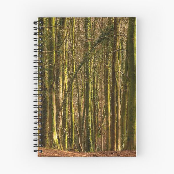 Item preview, Woodland designed and sold by ellenmpics.