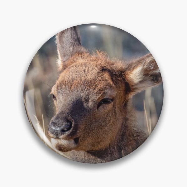 Item preview, Sweet little elk. calf designed and sold by Squirrel-Girl.
