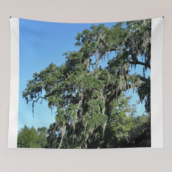 Item preview, Spanish moss designed and sold by dnparker.
