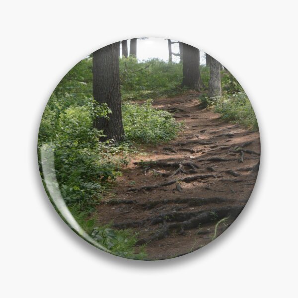 Item preview, Path designed and sold by ALenihanPhoto.