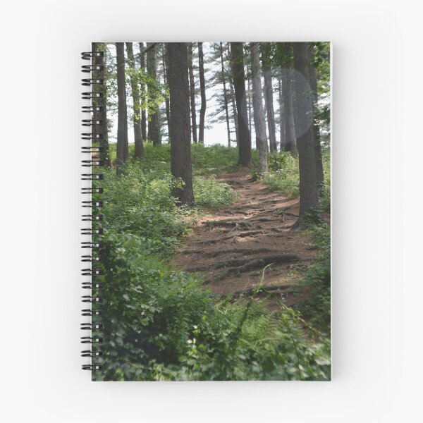 Item preview, Path designed and sold by ALenihanPhoto.